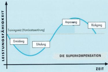 Fitnessstudio Perfect Body Dresden - Trainingsprinzip - Superkompensation