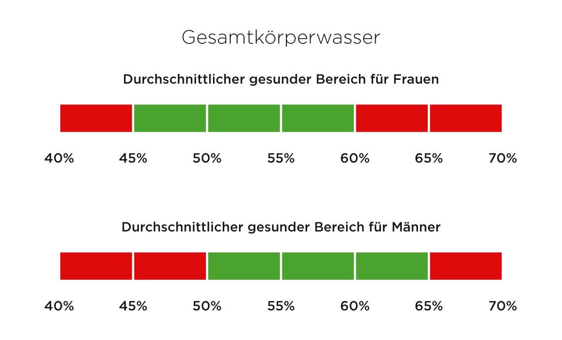 Fitnessstudio Dresden - Gesamtkörperwasser