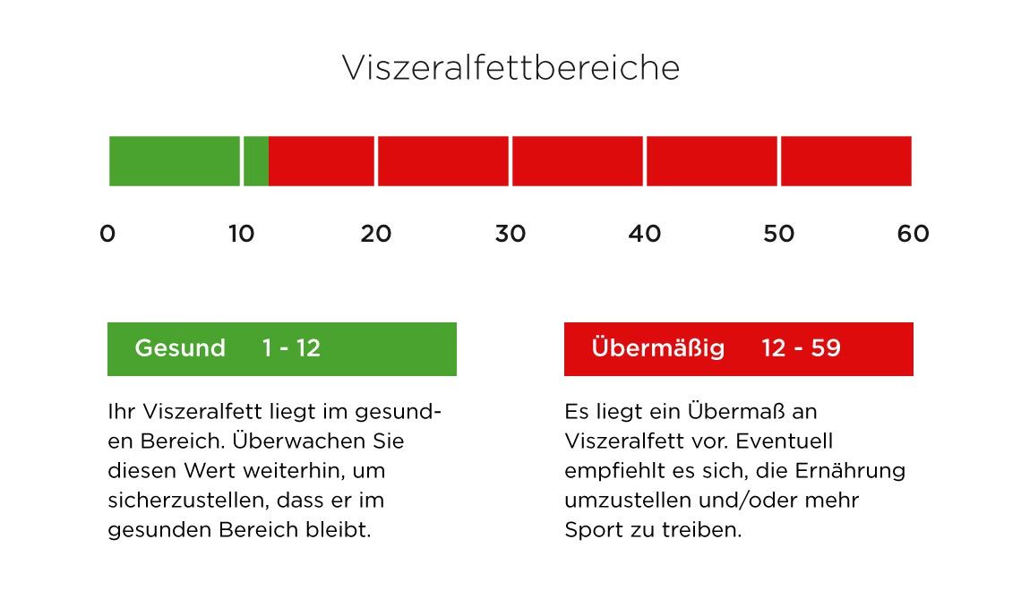 Fitnessstudio Dresden - Viszeralfettbereiche
