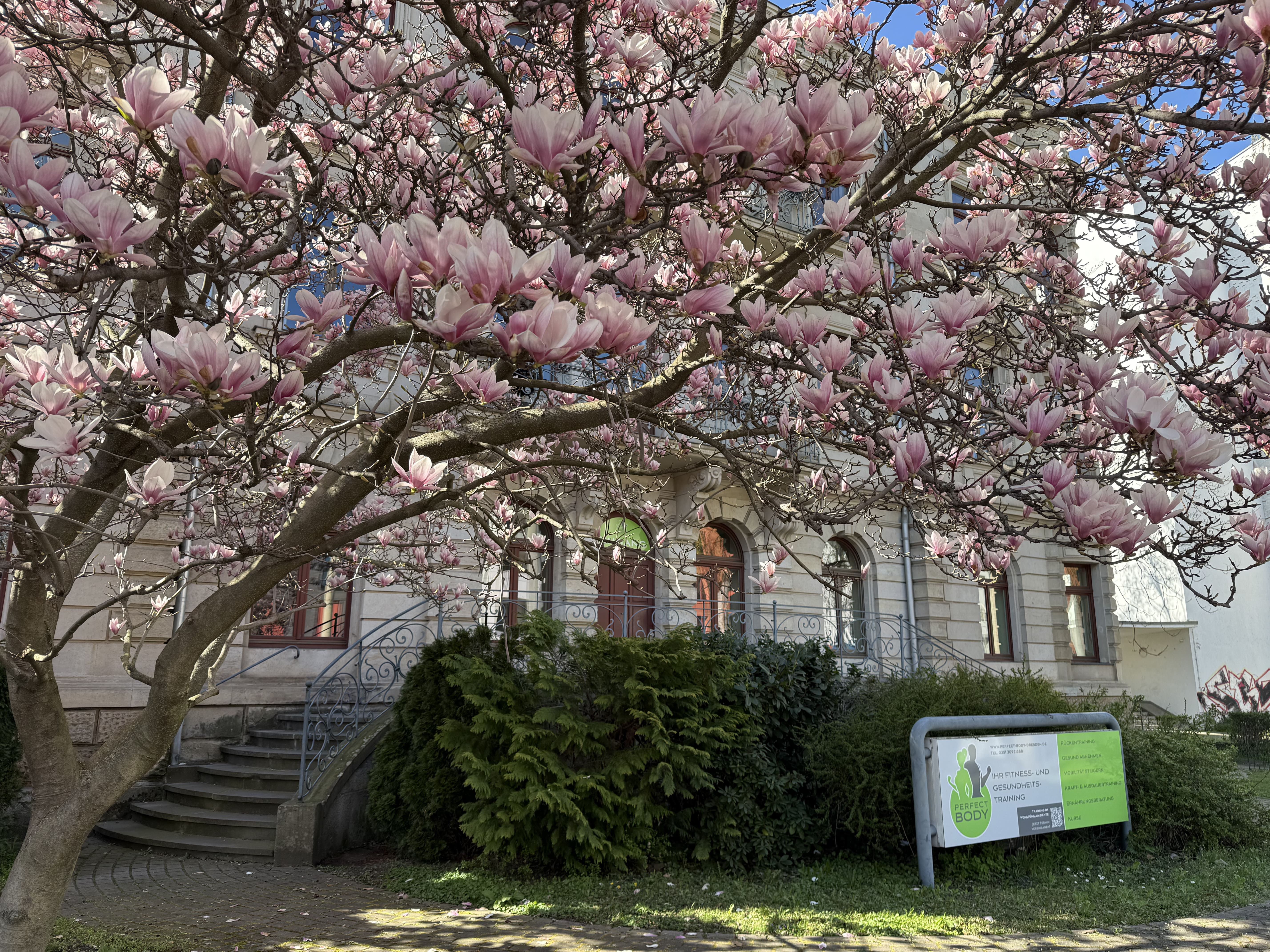 Fitnessstudio Dresden - Perfect Body Außenansicht