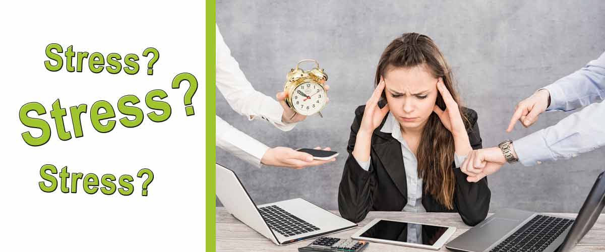 Fitnessstudio Dresden Perfect Body - Stress