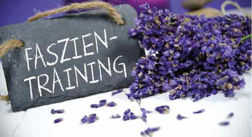 Faszientraining im Fitnessstudio Perfect Body Dresden